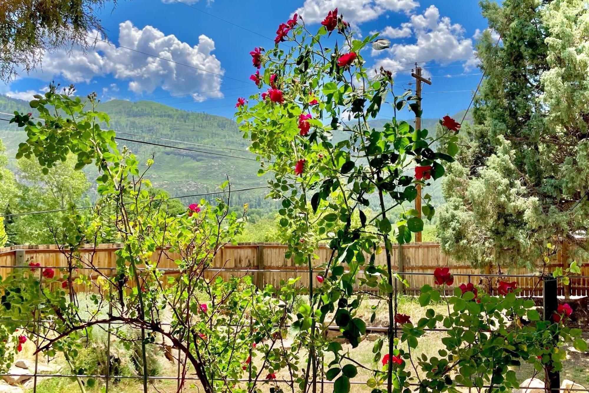 Hermosa Hideaway Durango Buitenkant foto